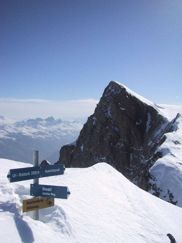 Ostern02_Urirotstock-10